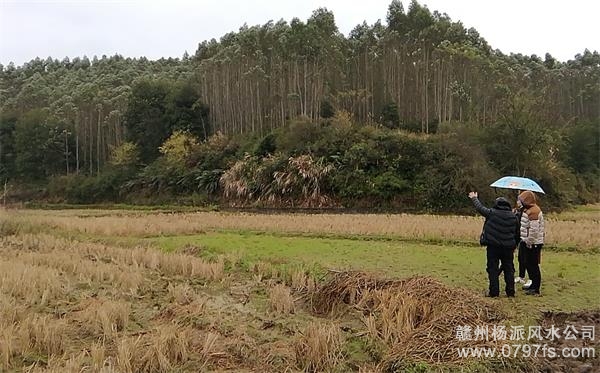 晋中市陈老师带着爱徒寻龙点穴